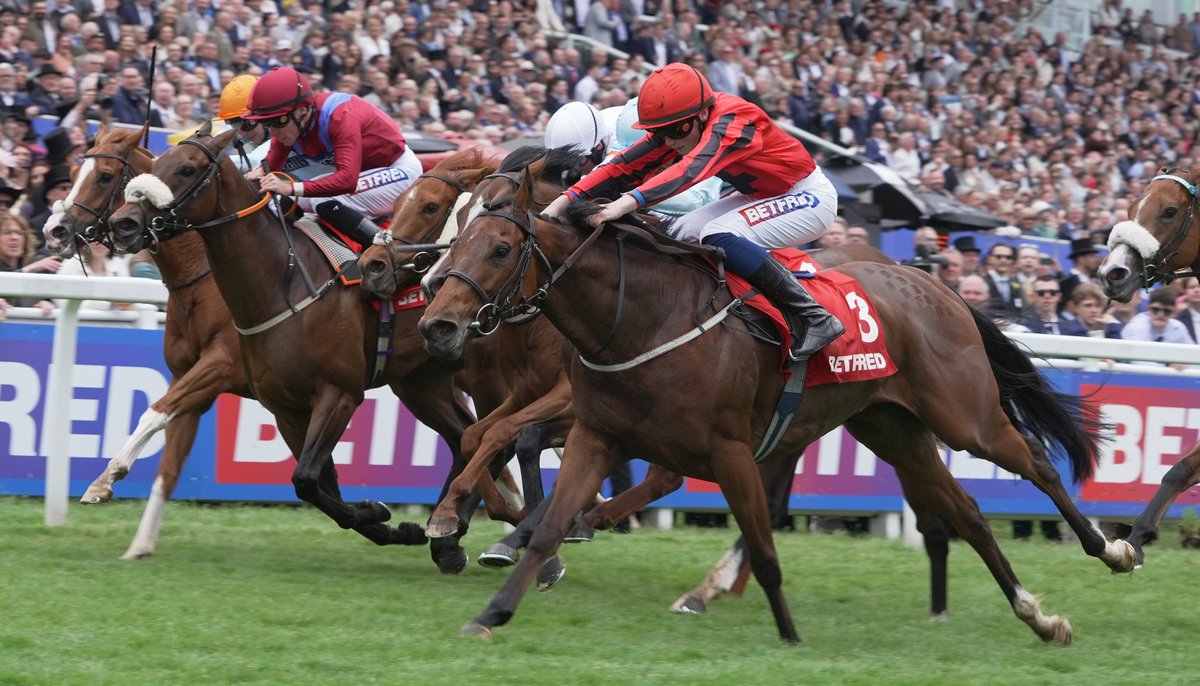 International Thoroughbred (@interthorough) on Twitter photo Stormy Impact (3) wins the 5f Dash H'cap <a href="/EpsomRacecourse/">Epsom Downs Racecourse</a>
The 3yo filly is by <a href="/Lanwades/">Lanwades Stud</a> Study Of Man whose progeny have an average winning distance of 9.75f (<a href="/weatherbysltd/">Weatherbys Limited</a> Global Stallions App)
She is out of the non-winning Colorada, who is by <a href="/BallylinchStud/">BallylinchStud</a> stallion Lope De Stormy Impact (3) wins the 5f Dash H'cap <a href="/EpsomRacecourse/">Epsom Downs Racecourse</a>
The 3yo filly is by <a href="/Lanwades/">Lanwades Stud</a> Study Of Man whose progeny have an average winning distance of 9.75f (<a href="/weatherbysltd/">Weatherbys Limited</a> Global Stallions App)
She is out of the non-winning Colorada, who is by <a href="/BallylinchStud/">BallylinchStud</a> stallion Lope De