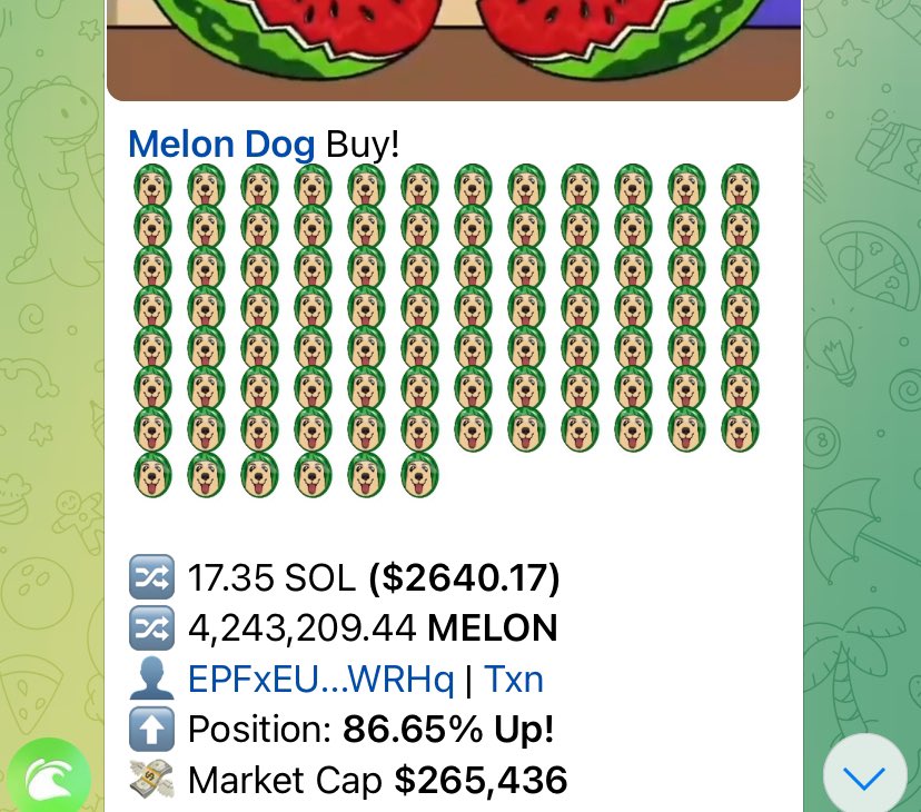 Just 17sol buy…he know something
<a href="/melondogcoin/">melon</a>  🍉🍉🍉