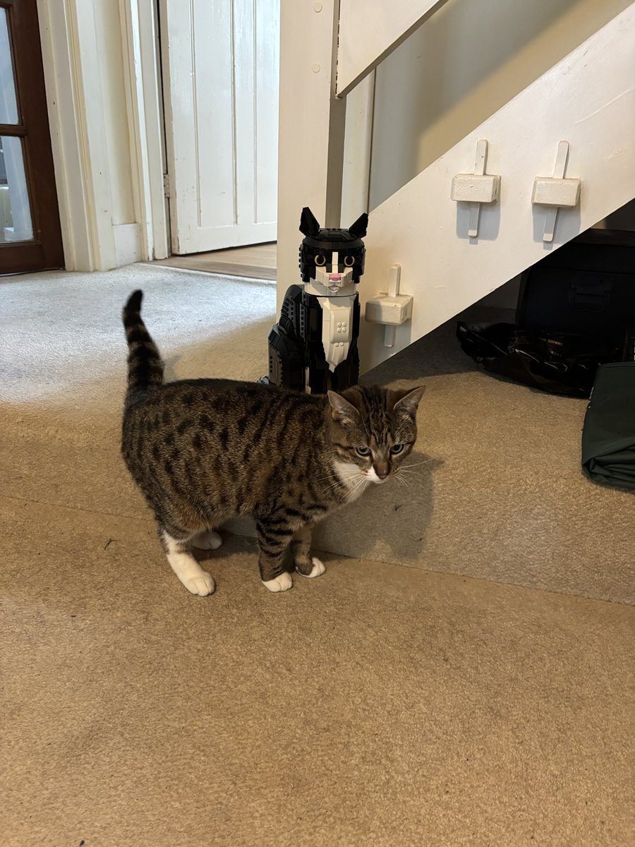 One of these cats has been naughty-but I’ve pixelated her to protect her identity.

Happy #caturday!

(Ok, she’s Lego)