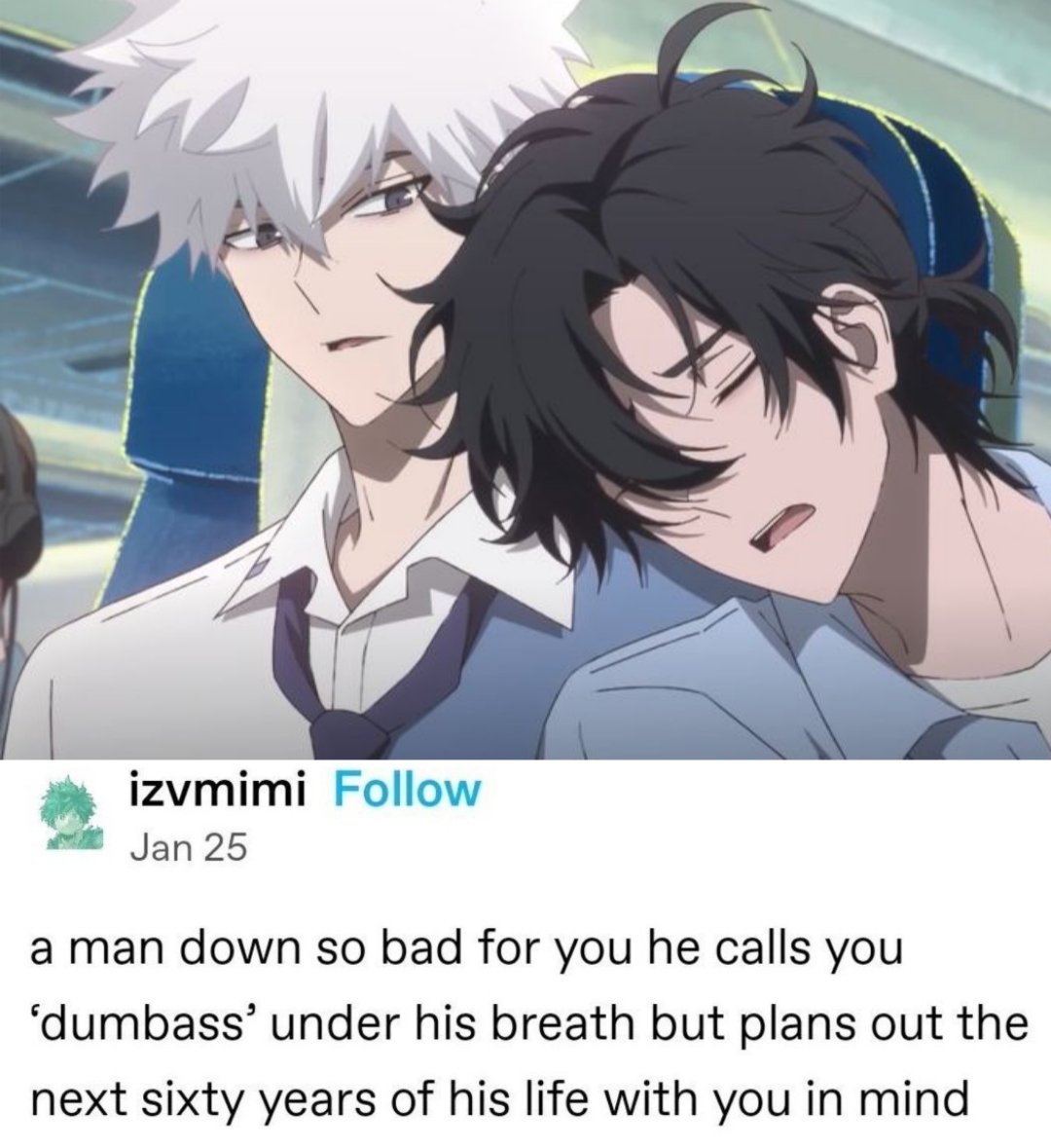 буквально шигуаны