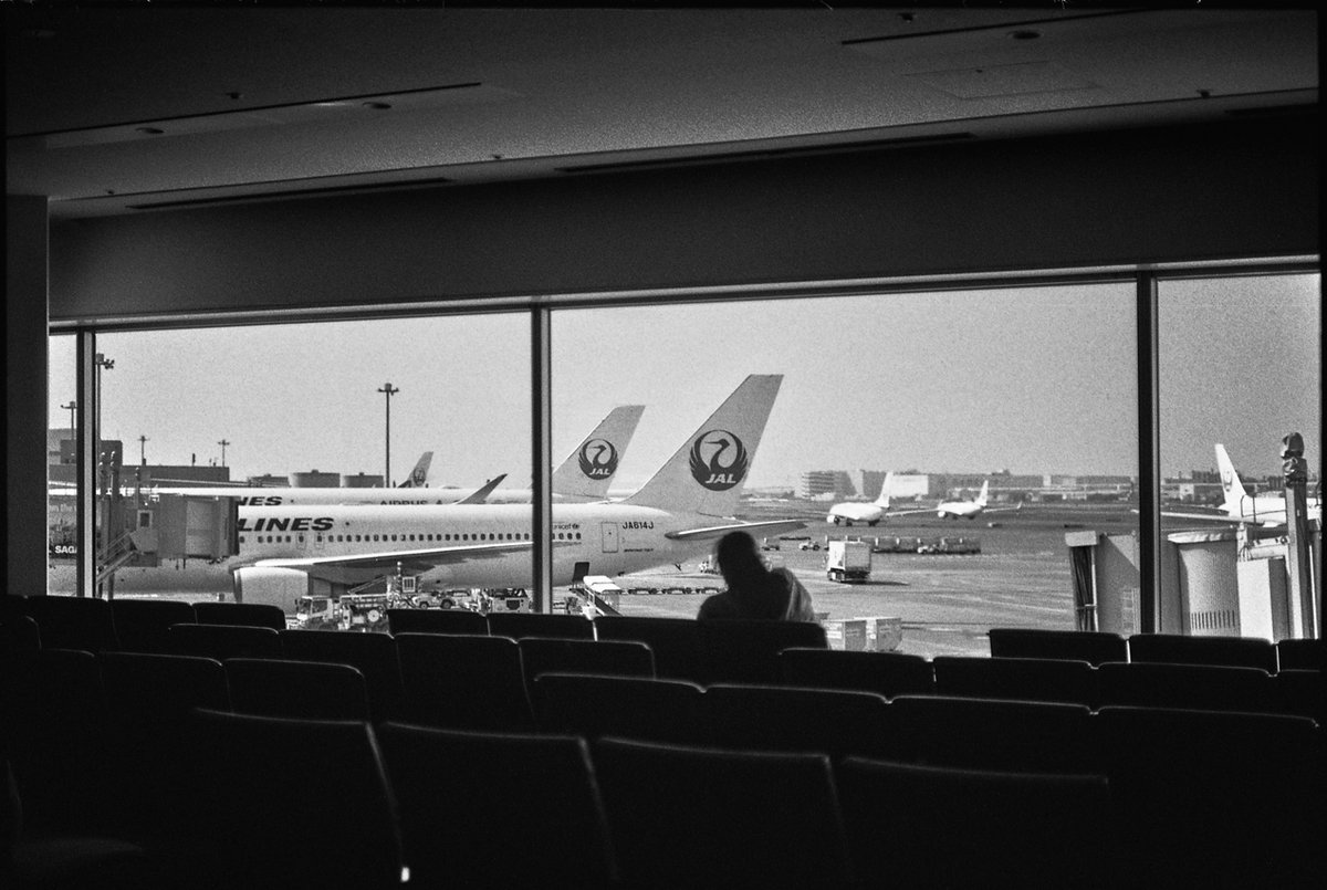 hektorliebhaber's tweet photo. 季節がまた１つ進む前に

#フィルム写真 #kodak #doublex #写真好きな人と繋がりたい #写真で伝える私の世界 #写真で奏でる私の世界 #ファインダー越しの私の世界 #カメラ好きな人と繫がりたい #モノクロ #フィルム #フィルムカメラ #キリトリセカイ #スナップ写真 #空港 https://t.co/wQXOdgThga