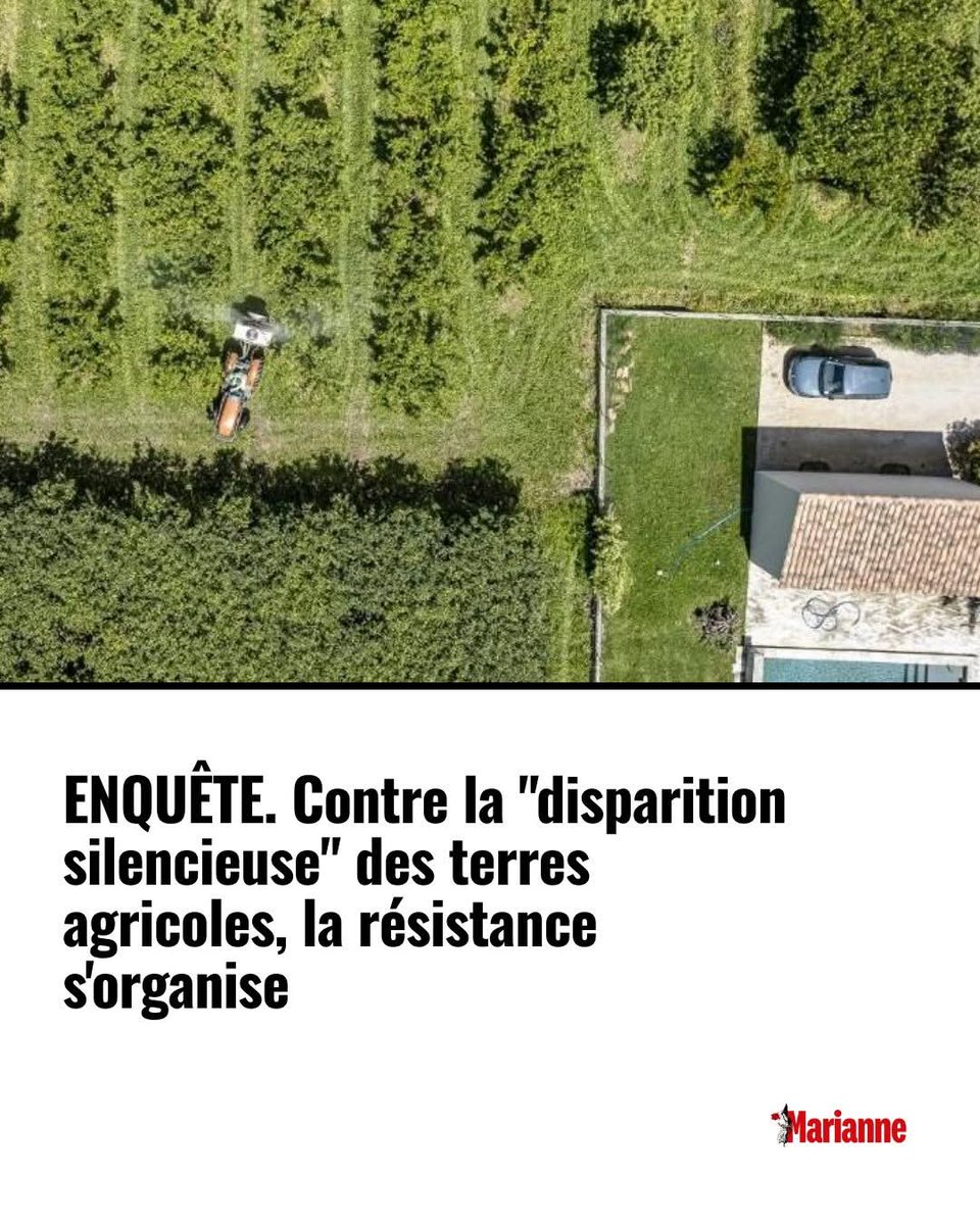 En 2023, entre 15 000 et 20 000 hectares de terres agricoles ont été détournés de leur vocation agricole en France selon la Safer, la Société d'aménagement du foncier et du rural, aggravant la raréfaction des terres fertiles disponibles.  👉 ebx.sh/lEpVoe