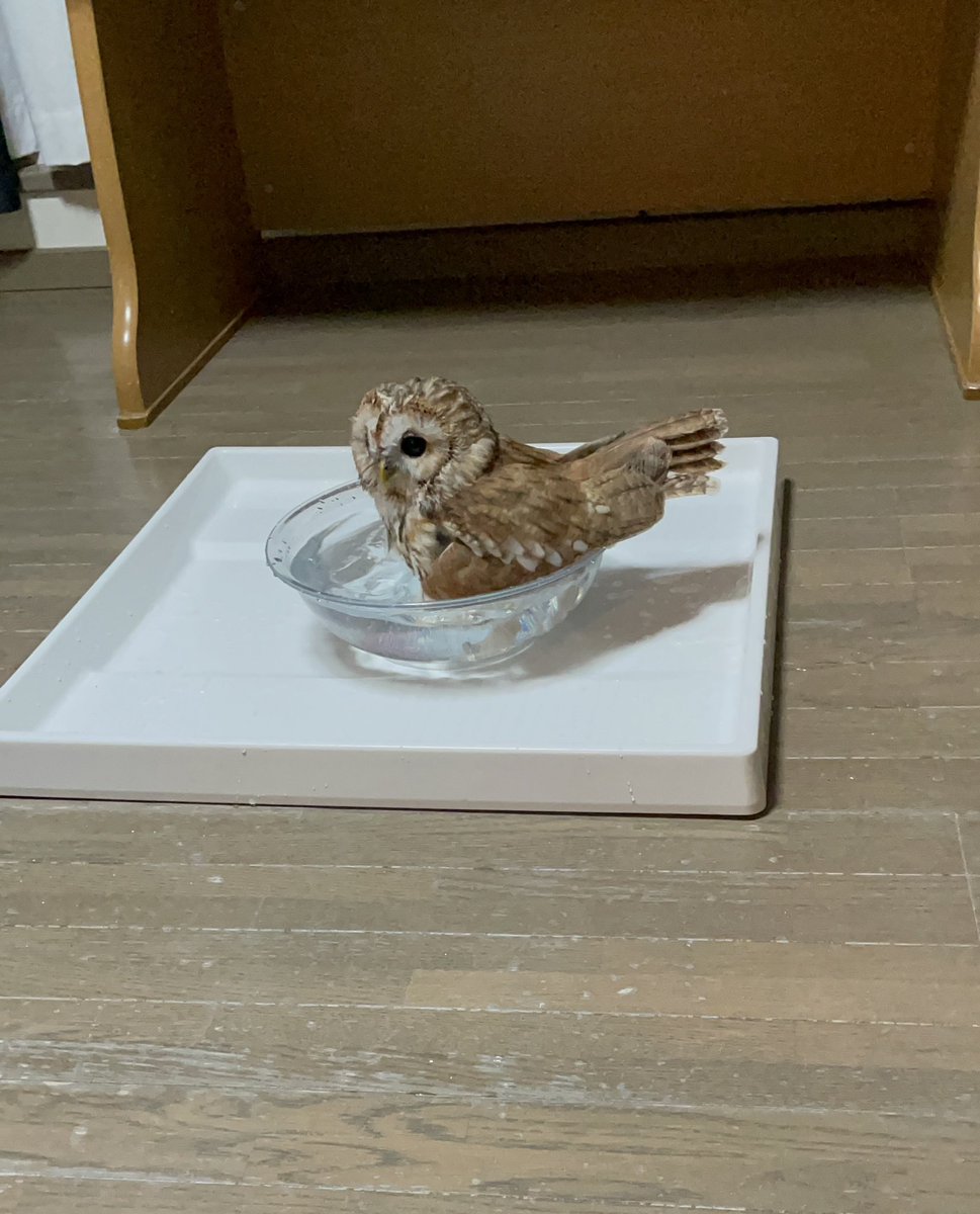 鳩サブレみたいな形