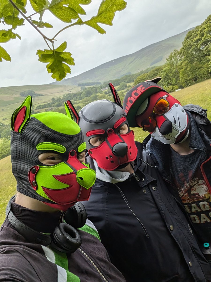 Spent some time hiking w/ <a href="/AlfieTheWolf/">Alfie 🔜 MancPride 🏳️‍🌈🐕‍🦺</a> and <a href="/Dandethepup/">Pup Dande 🔜 Animalz August, Doggy Weekend</a>