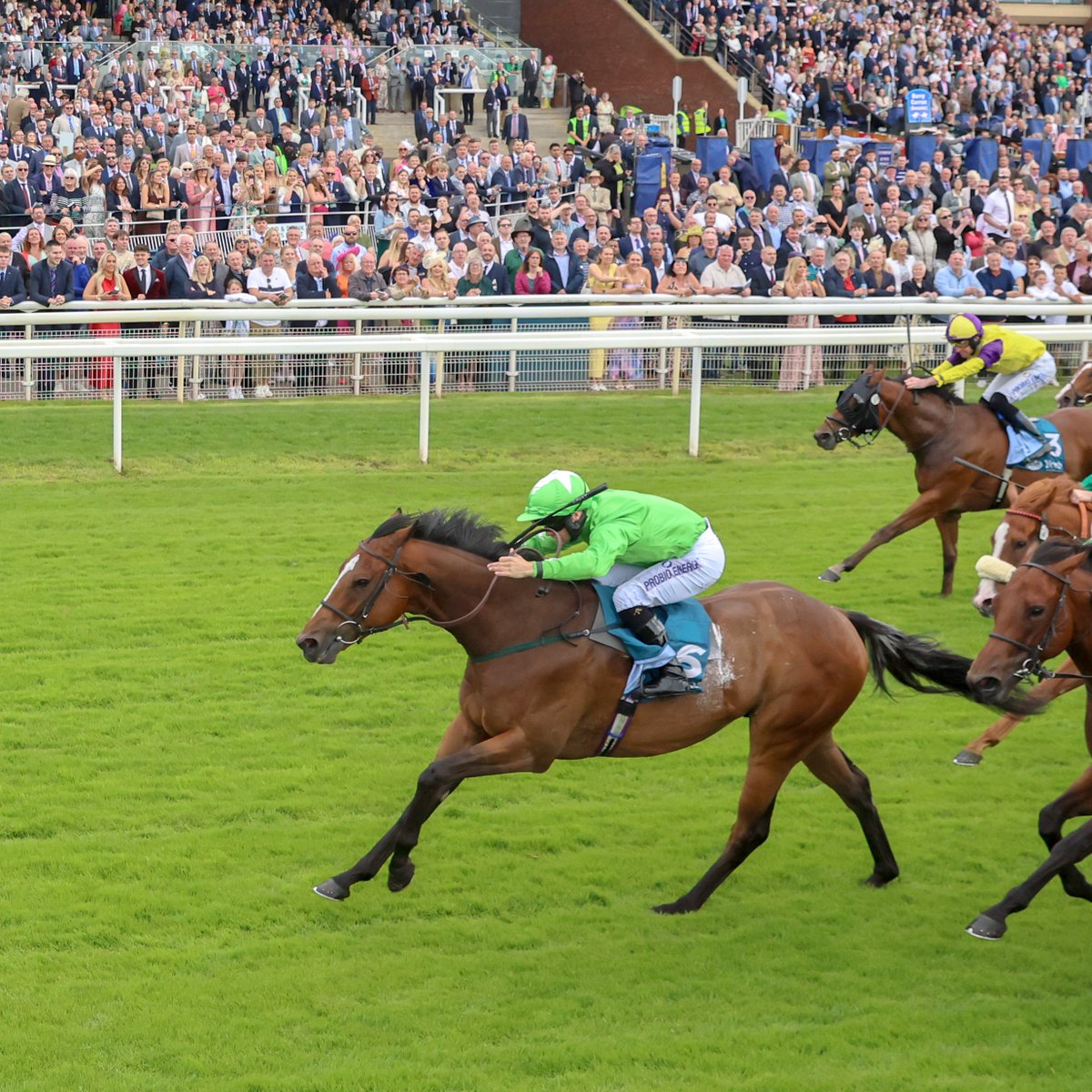 Racing Post (@racingpost) on Twitter photo JM JUNGLE wins the Aston Martin "dash" Handicap 💚 JM JUNGLE wins the Aston Martin "dash" Handicap 💚