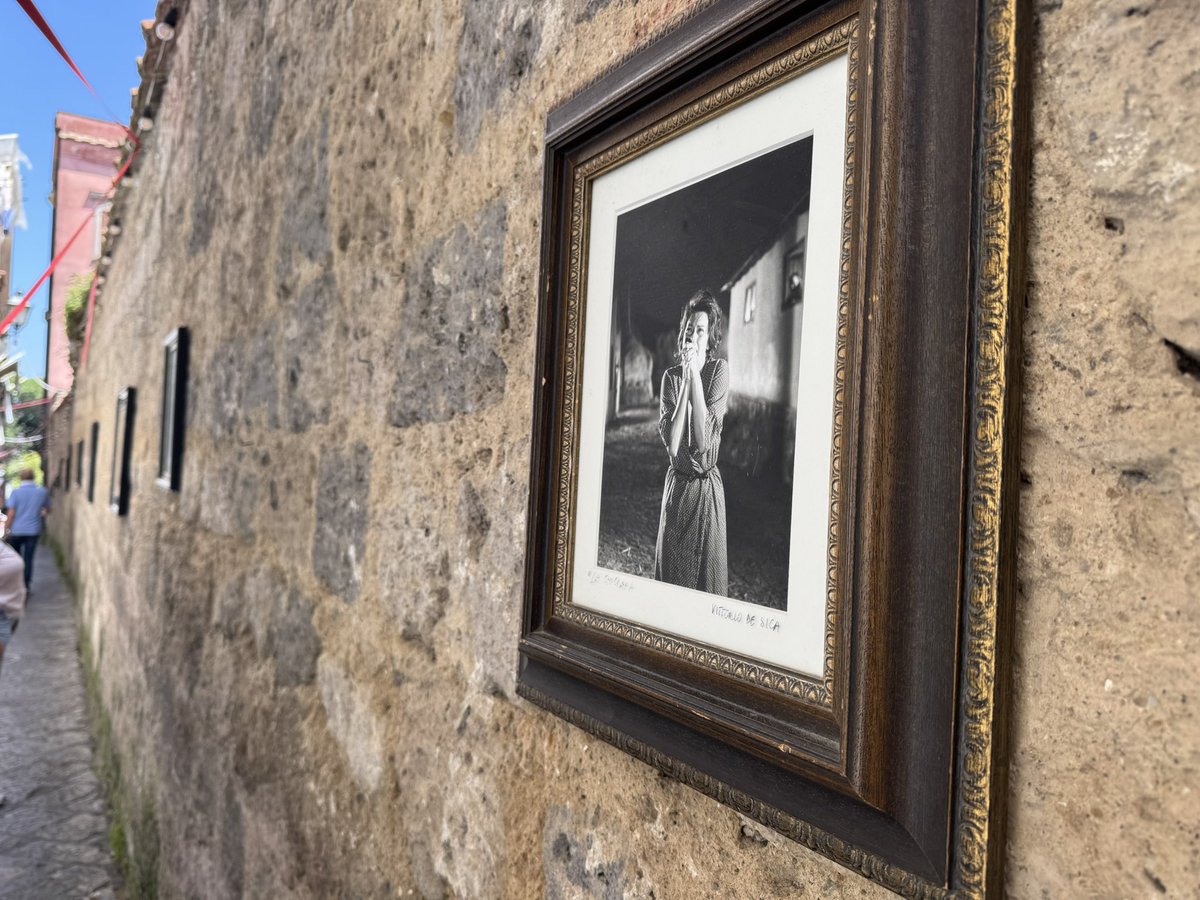 In Sorrento <a href="/sashaalexander/">Sasha Alexander</a> and they have a fabulous Sophia exhibition just outside on the walls in the streets! #incredible