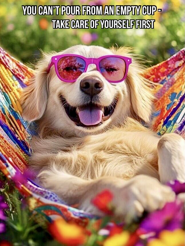 GratitudeSoup (@gratitudesoup) on Twitter photo 