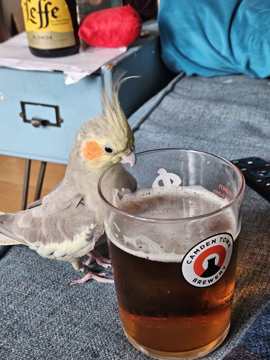 Even the bird wants in on the fun