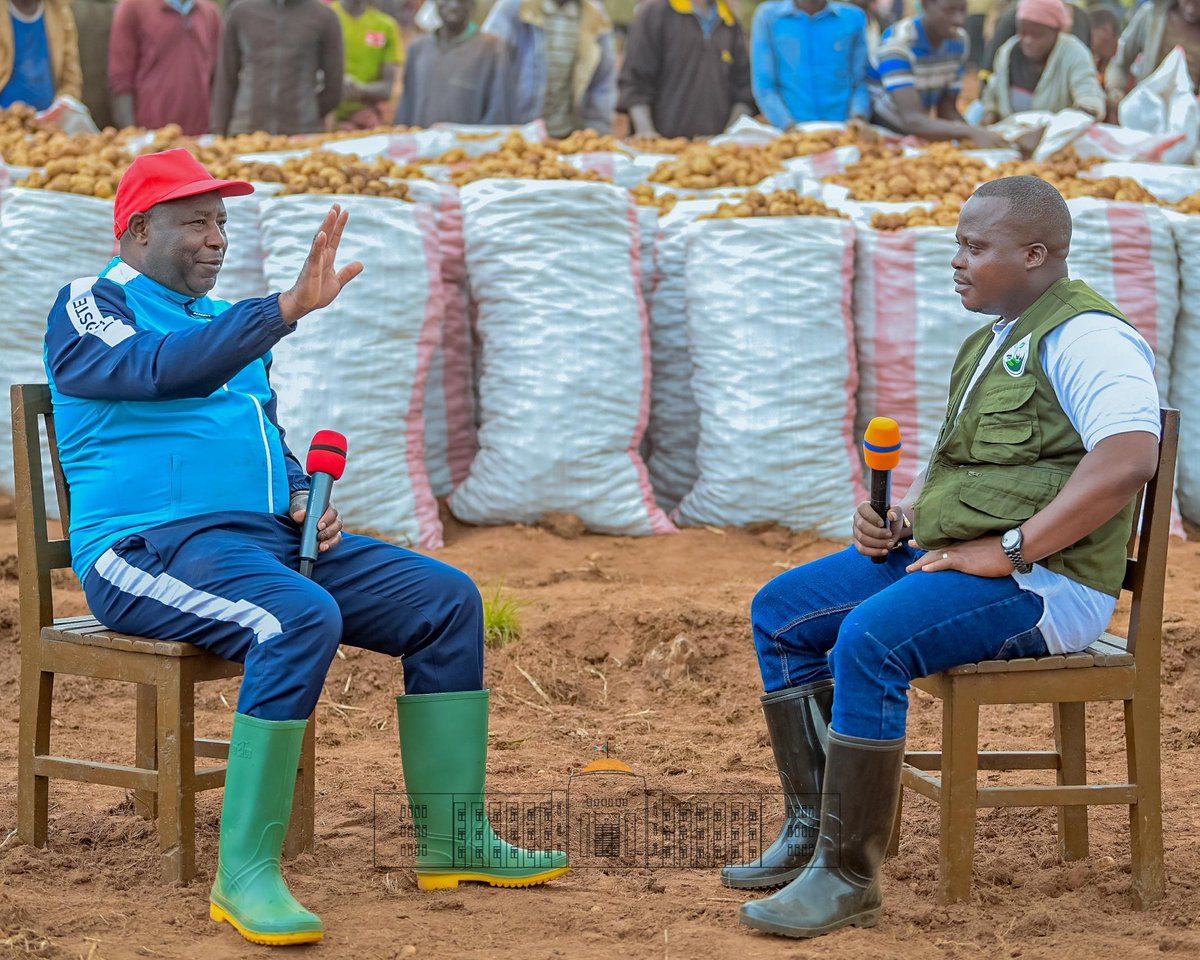 KwaNtare's tweet photo. Mu ntumbero yo gutera intege urwaruka,Umukuru w’Igihugu c'U #Burundi Nyen. @GeneralNeva yishikiye Ivyanda @BururiProvince m'umurima w'ibiraya upima hegitari 5 wa Fleury Minana batazira Mutima aho basoromye itoni 6 z'ibiraya, uwo mukinyi w'utugenegene ngo yiteze T.60 mu misi iza https://t.co/IuM51sYFX5