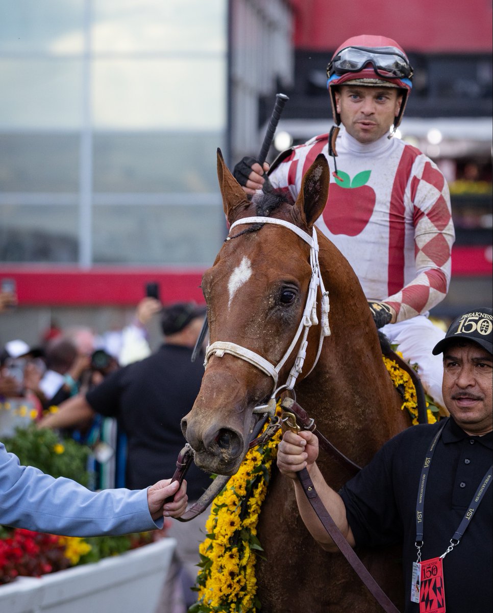PimlicoRC's tweet image. Happy @belmontstakes Day! Good luck to our #Preakness150 champion, Journalism!