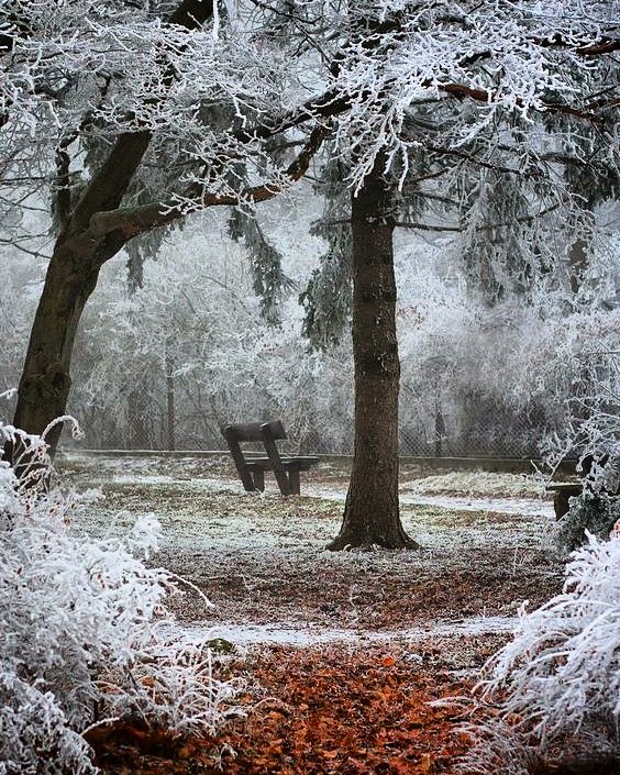 Curiosa-mente (@openmente2) on Twitter photo 