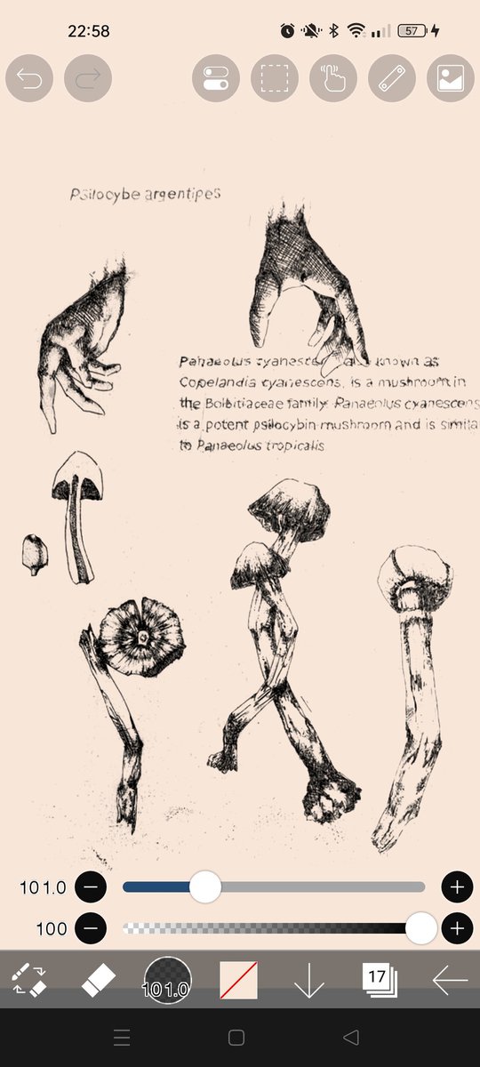 大学の卒業生画集で作成したやつ 