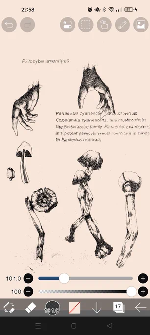 大学の卒業生画集で作成したやつ 