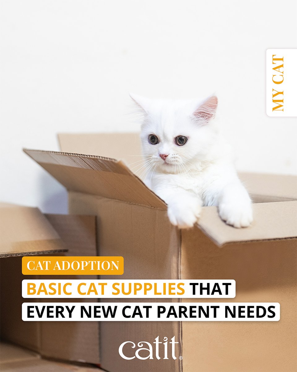 Catit's tweet photo. Are you ready to welcome a new feline friend to your home? 🐱🍼👶 Find out at https://t.co/5UleCNbxs3

#catstuff #catgear #catsofx https://t.co/Z5119fyC3y