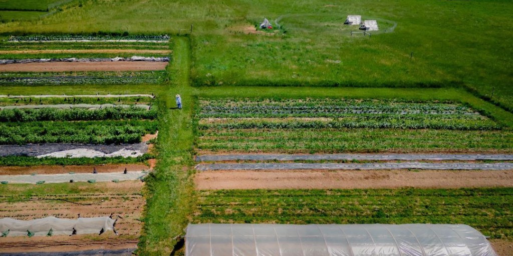 Its #LocalFoodWeek in Ontario! Local food plays a vital role in Ontario’s agri-food sector and ~60% of Ontario-grown food is enjoyed right here in the province. Supporting local food means supporting jobs, economic growth and strong communities. #loveONfood #OntarioAgriculture