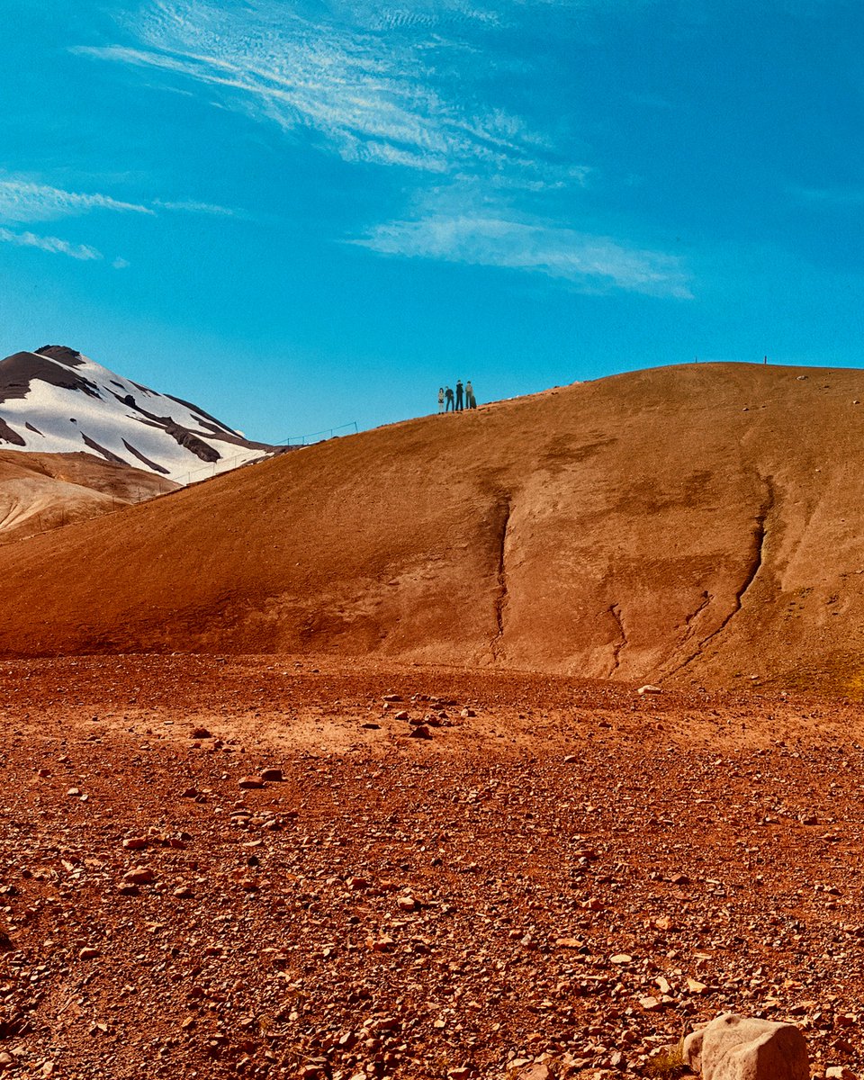 IntroUK's tweet image. More fun with @welovepulp
Thank you Jarvis, @roughtrade and all the tour team.
It’s been a pleasure.
 
#pulp #jarvis #julianhouse #more #morepulp #tourvisuals