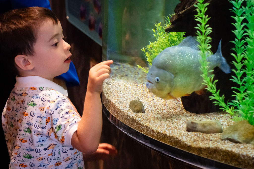 If you think catching virtual creatures at #PokemonGOFest at #LibertyStatePark this weekend is a good time, wait until you meet the 110+ species that call the Science Center home.