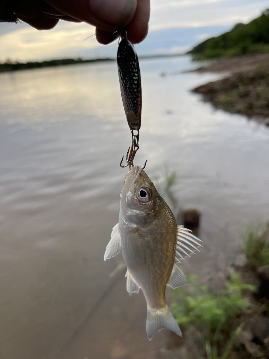 Not the best way to start the day 😅