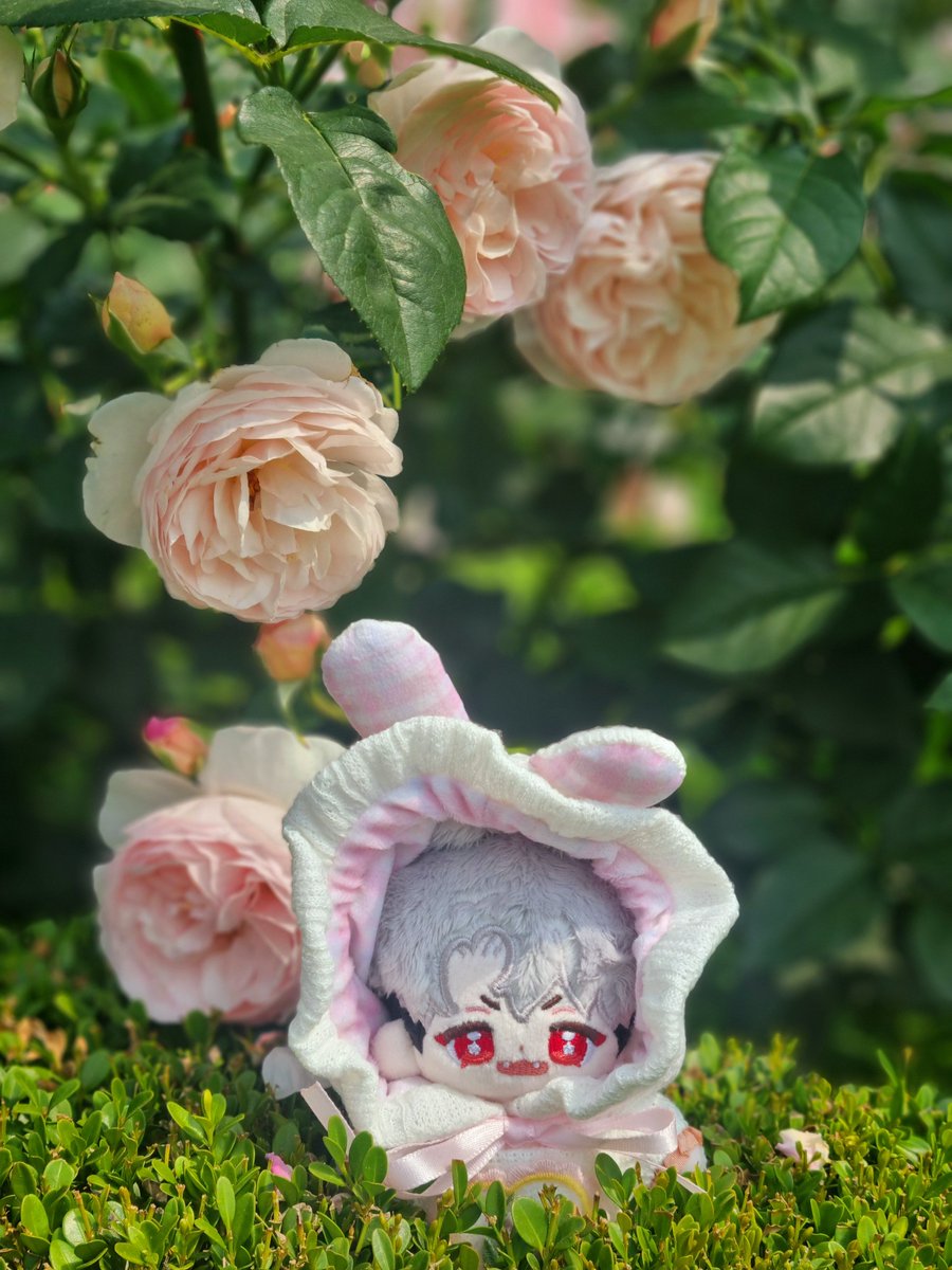 장미공원 다녀왔어여🌹