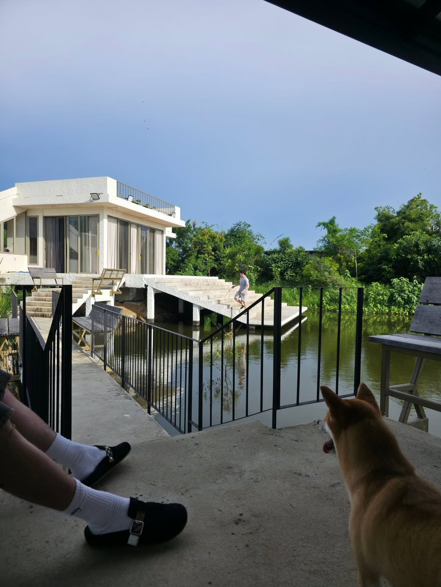 So cute 🥰
Enjoy a relaxing weekend 😊🤍

#bbrightvc #ไบร์ทเนเน่