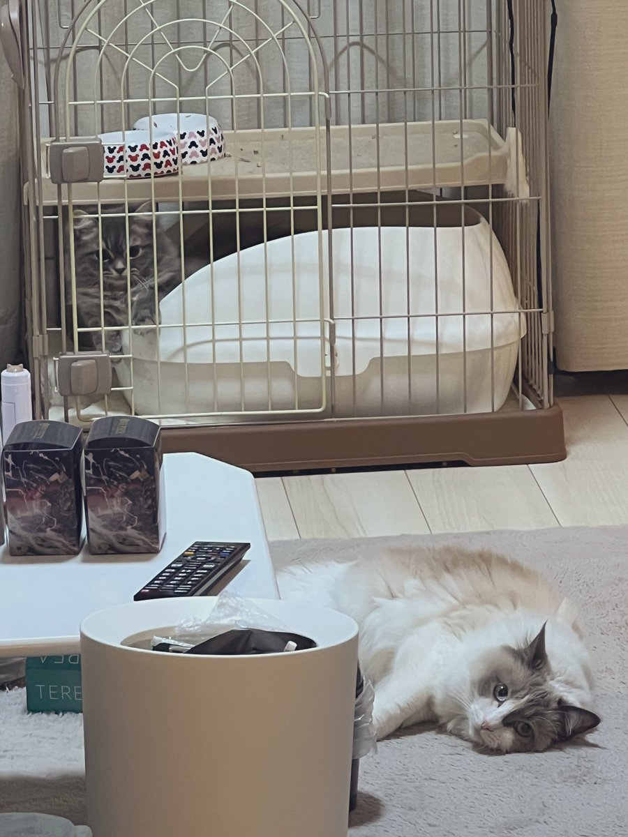 すんごい視線感じました。