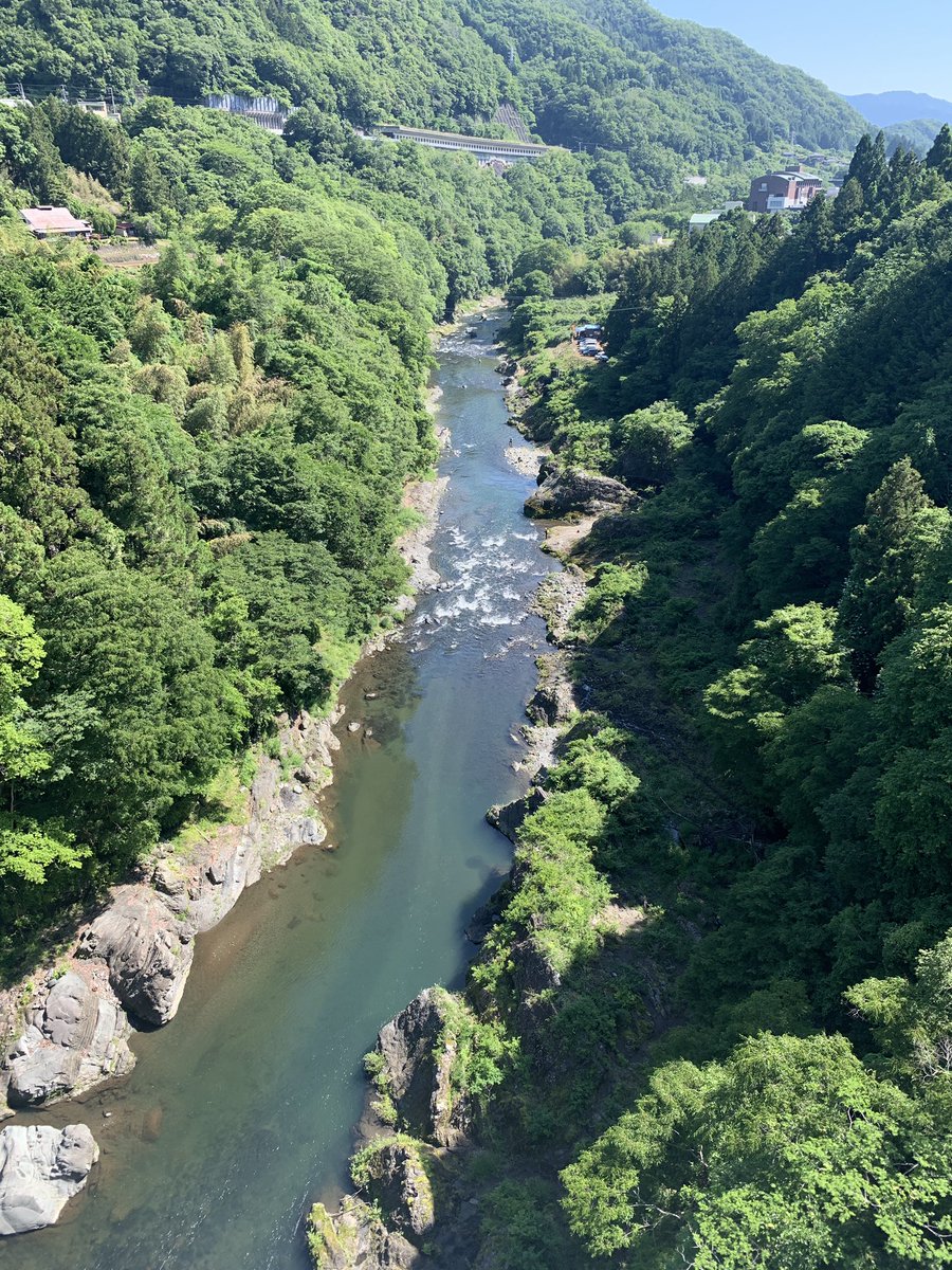 今週の畑
パクチーが重さで倒れてました。コリアンダーの種が沢山実りだしたからのよう。オマケにエンドウにも絡まれて😆

鈴なりだったエンドウもうどん粉病？になりそろそろ終わりのよう。種を次回採取しよう🫘

前回種まきした枝豆、1箇所除いて鳥さんにやられずに発芽

鮎釣解禁
#自然栽培