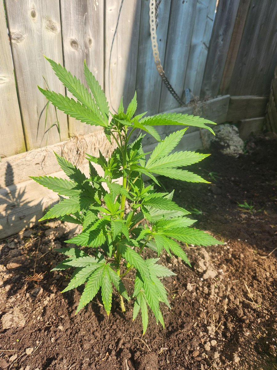 keRRy ⚠️ tweet media