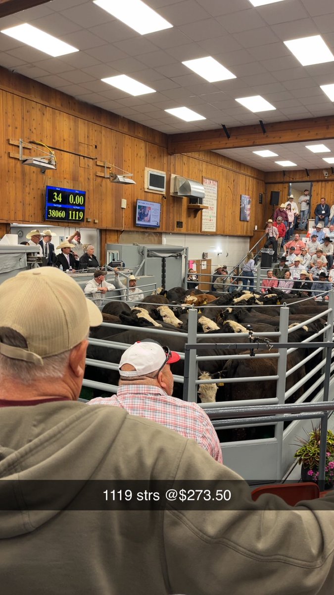 DylanRus's tweet image. WLAC 1119# @ $273.50