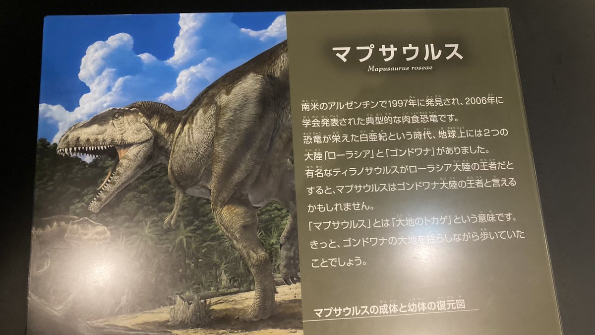 マプサウルスめちゃくちゃいいねされてる…… 名古屋市科学館に書いて