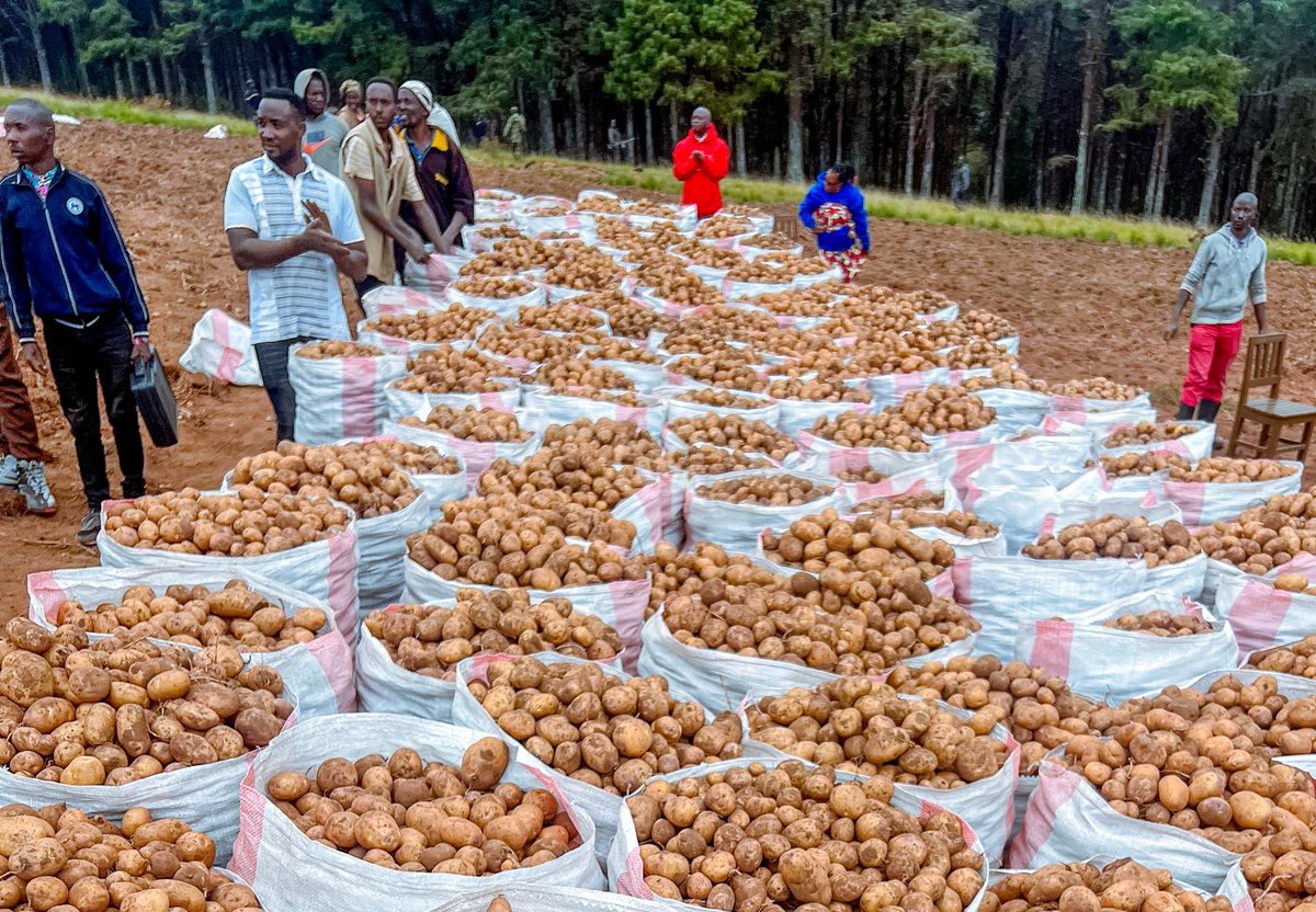 KwaNtare's tweet photo. Sebarundi @GeneralNeva yashimiye #Mutima umukinyi w'utugenegene kuri ico ciyumviro ciza yagize yongera asaba incabwenge z'urwaruka kumushigikira kugira umwimbu ube mwinshi umufuko nawo ubomboke, yongera asaba abarwizambuto kwijukira imirima ya kijambere mu kurwiza umwimbu https://t.co/wA6W5QxQ53