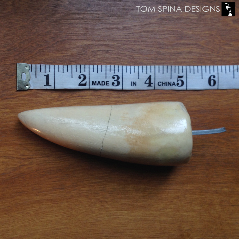 TomSpinaDesigns's tweet photo. On this day in 1993, #dinosaurs returned from extinction in the original #JurassicPark. Here's a screen-used T. rex tooth that a client brought to us for a custom themed display. https://t.co/Ckl1mY8wgZ
#JurassicWorld #Trex #TomSpinaDesigns #movieprops #propcollector https://t.co/c0UjJ28Xid