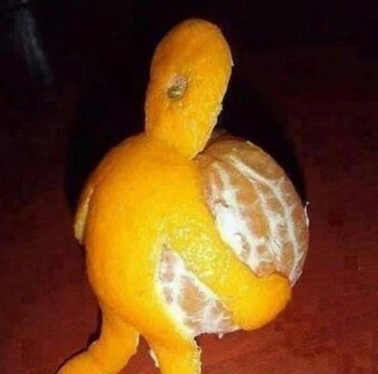 danpdf's tweet image. may i present: