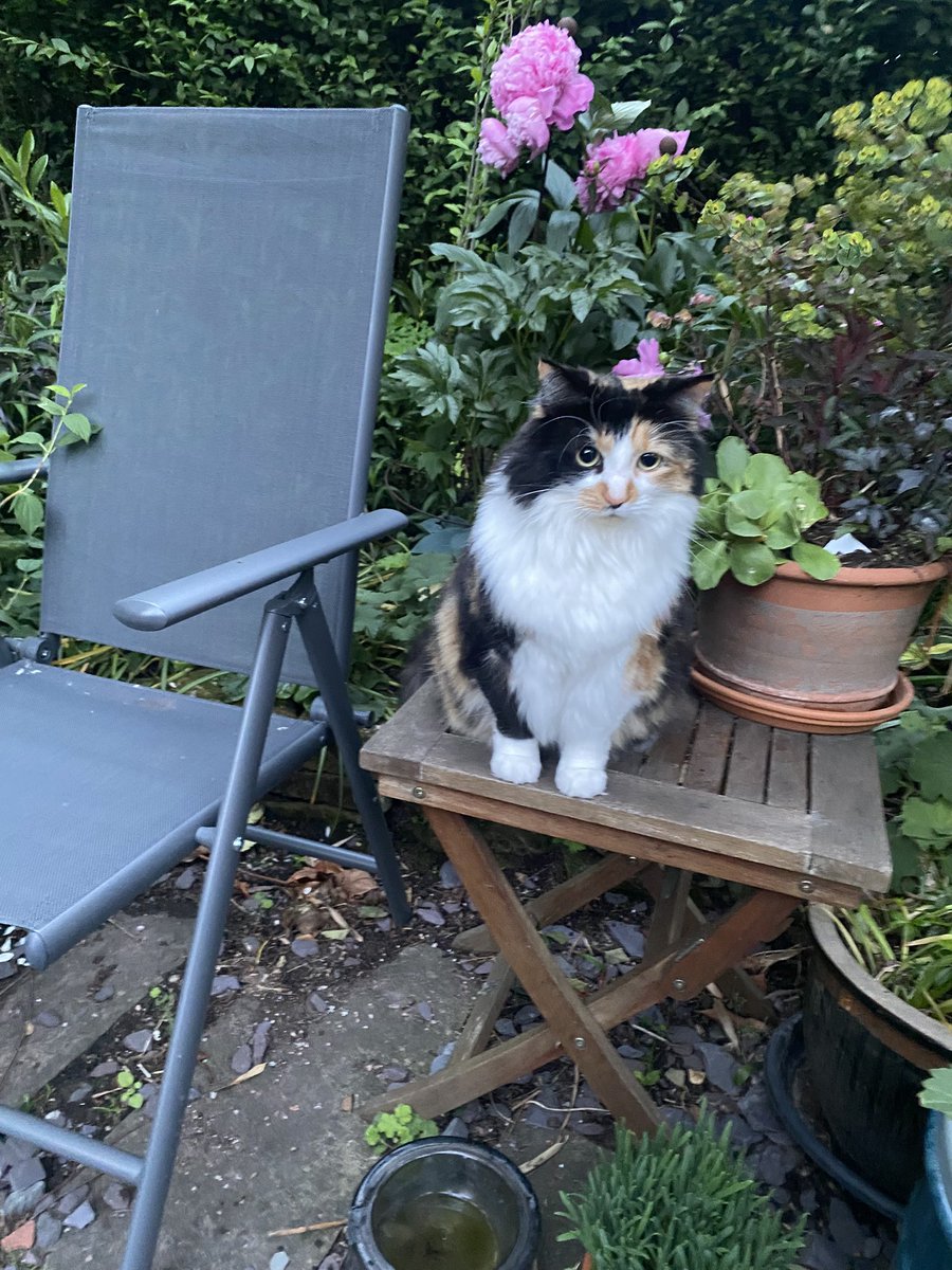 Molly tweet media