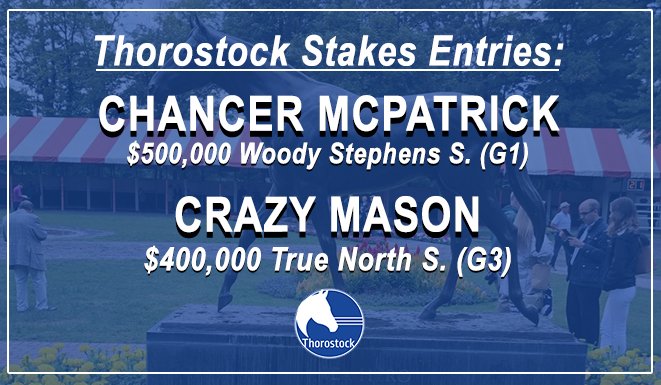 Today at #Saratoga:
CHANCER MCPATRICK returns to the scene of his first Grade 1 victory &amp; CRAZY MASON is on launch for his second straight Graded win!
🍀 🍀 Best of luck to all the connections!
#StockUp #BelmontFestival