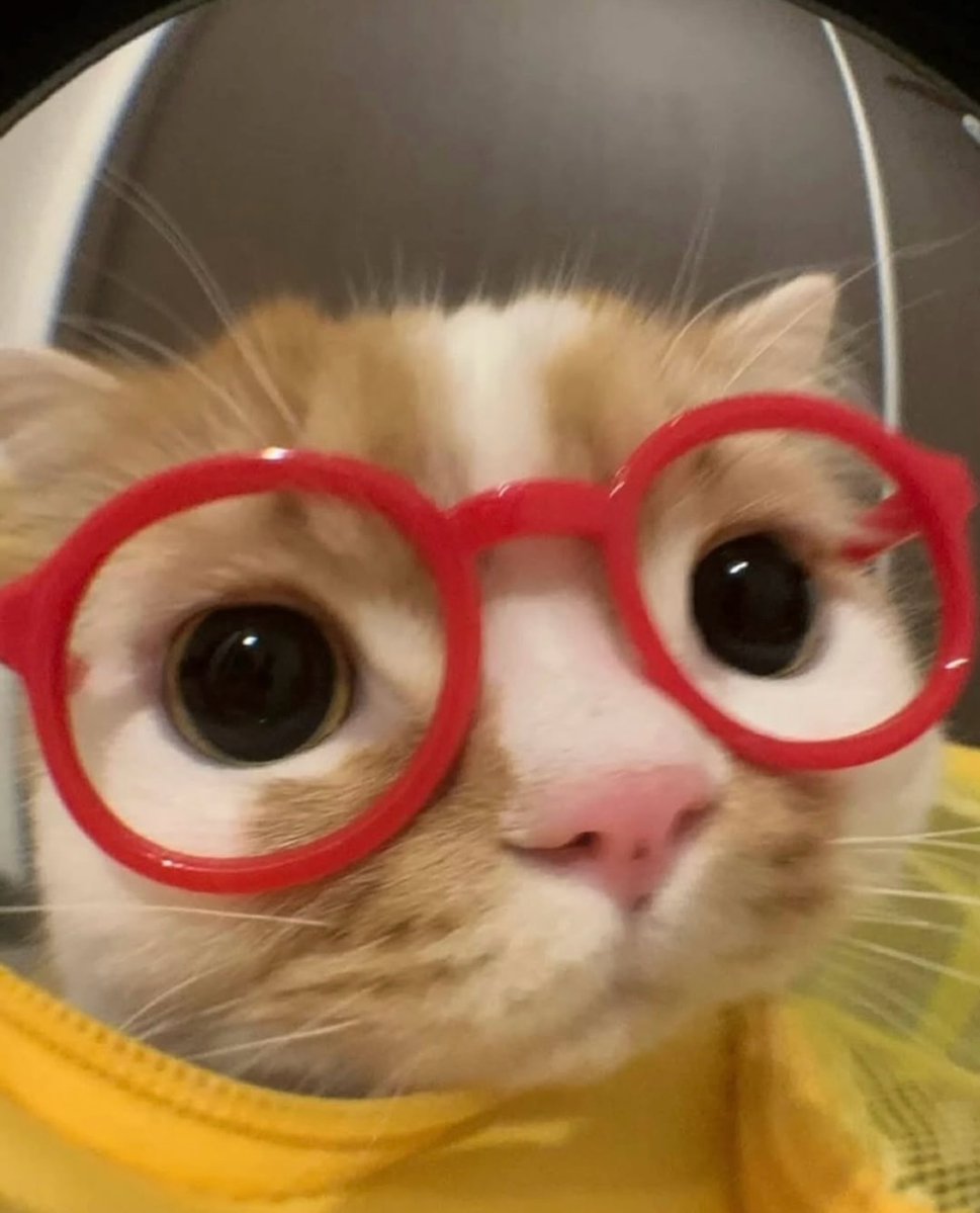 me with my glasses :3