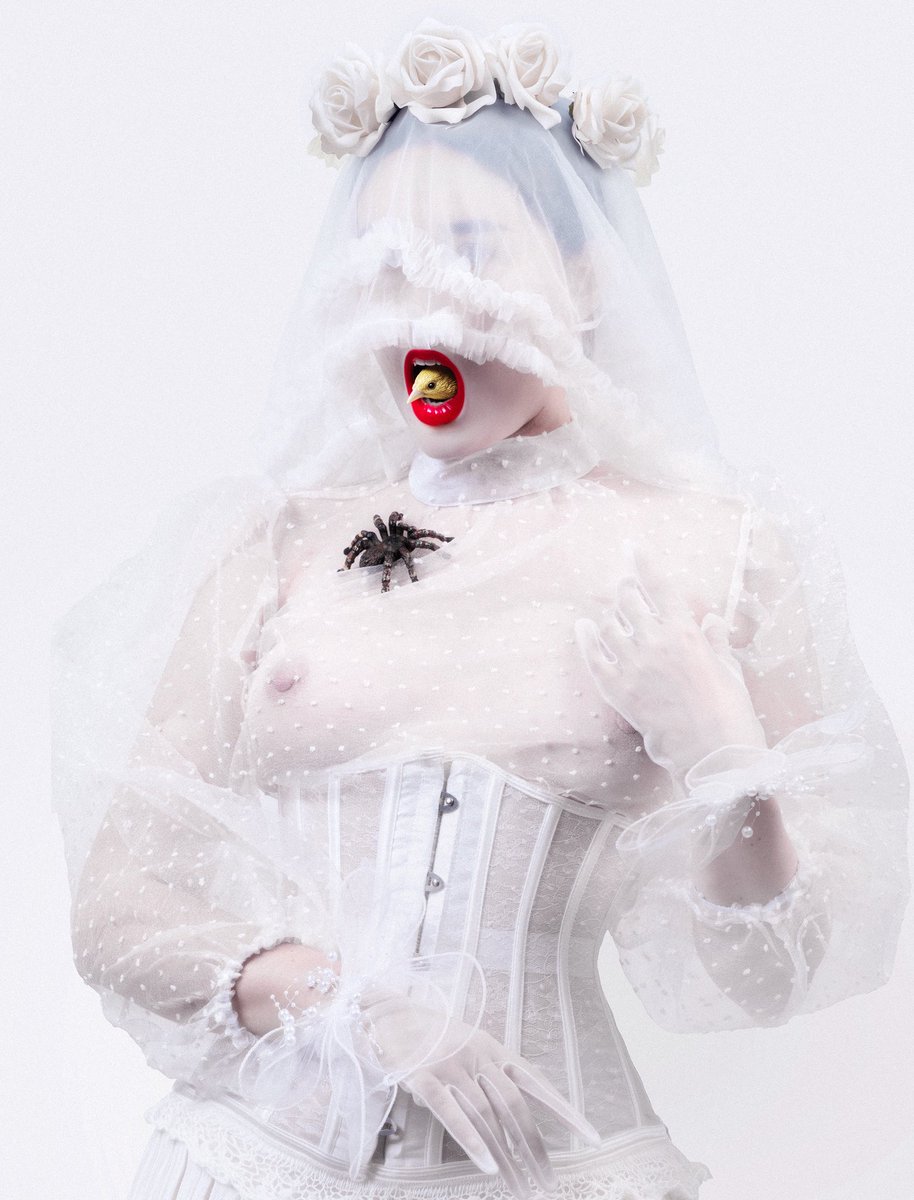 NatalieShau's tweet photo. I have been invited for exhibition in a real art museum 🤍🥰 https://t.co/z7dj4KhBYJ