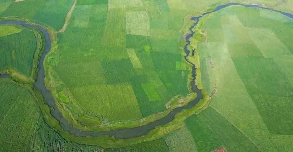 #Ethiopia is leading a green revolution through massive reforestation wheat production and conservation efforts like the Green Legacy Initiative restoring ecosystems and building a sustainable future. 🌱🇪🇹