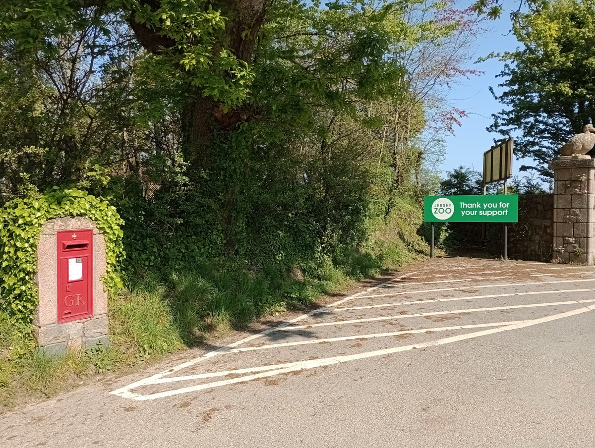 WeePostalMuseum's tweet image. A GR box enjoying the sunshine at Jersey zoo.
#PostboxSaturday