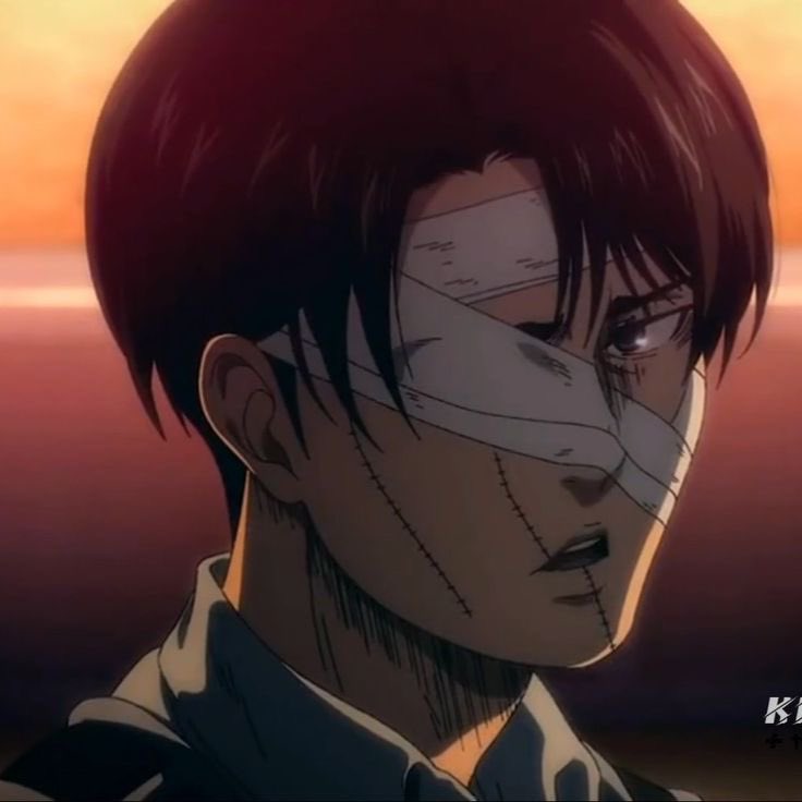 leviseyeliner's tweet photo. Bandages Levi my beautiful beloved wife https://t.co/OBmHFmNyg1