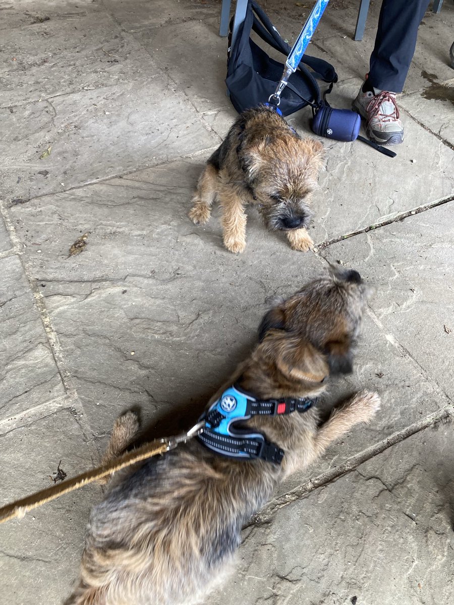 .#btposse meet up at Stowe ⁦<a href="/lyndaward5/">Dame Aunty Lynda Ward. BTP CBE.</a>⁩ ⁦<a href="/MrSebBT/">Sir Boots BT - bro to Sir Seb🌈💕</a>⁩ ⁦<a href="/BertieButter/">Sir Bertie OBE and Lady Bea OBE 🇨🇦🇺🇦🇬🇱</a>⁩ ⁦<a href="/3Paddies/">Culchie</a>⁩ ⁦<a href="/welshborders/">Sam Neale</a>⁩