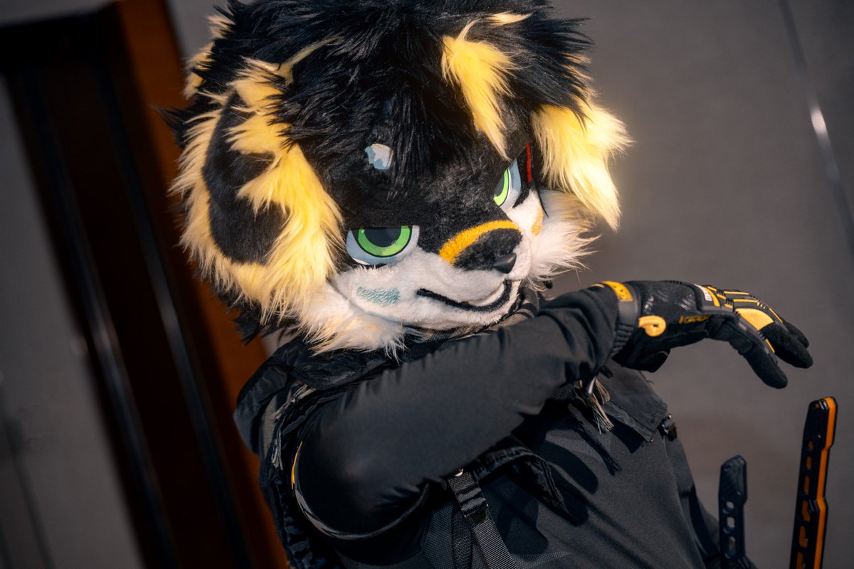 我的刀去而复返，你的生命 有来无回~

摄影：@小源 
毛替：<a href="/evig8oh5W324807/">黑小点</a>
#FursuitEveryday