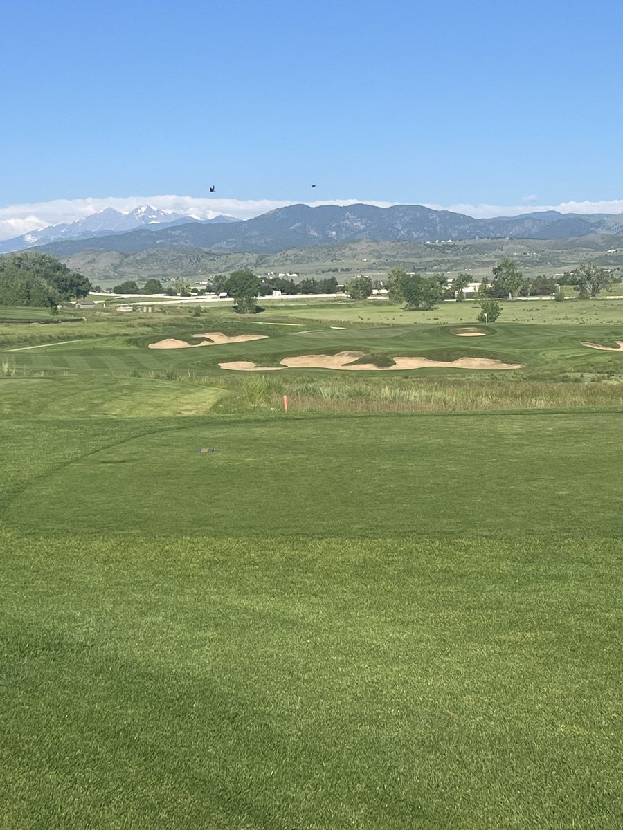 kjm_turf's tweet image. Sometimes we all need to look up a little more!