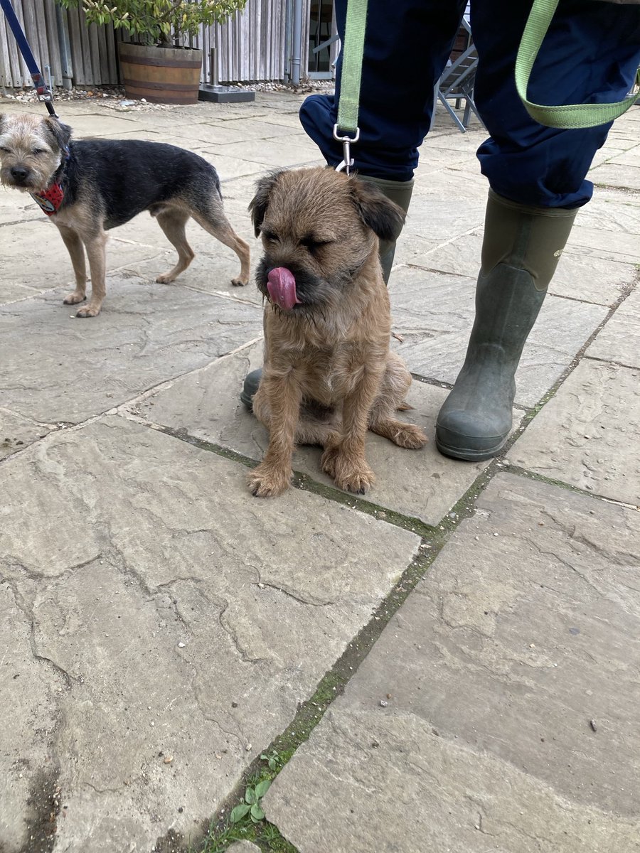 #BTPosse meet up at #Stowe ⁦<a href="/MrSebBT/">Sir Boots BT - bro to Sir Seb🌈💕</a>⁩ ⁦<a href="/HarristheBT/">Harris theBT</a>⁩ ⁦<a href="/Freddie_bt/">Freddie_BT</a>⁩ ⁦<a href="/lyndaward5/">Dame Aunty Lynda Ward. BTP CBE.</a>⁩
