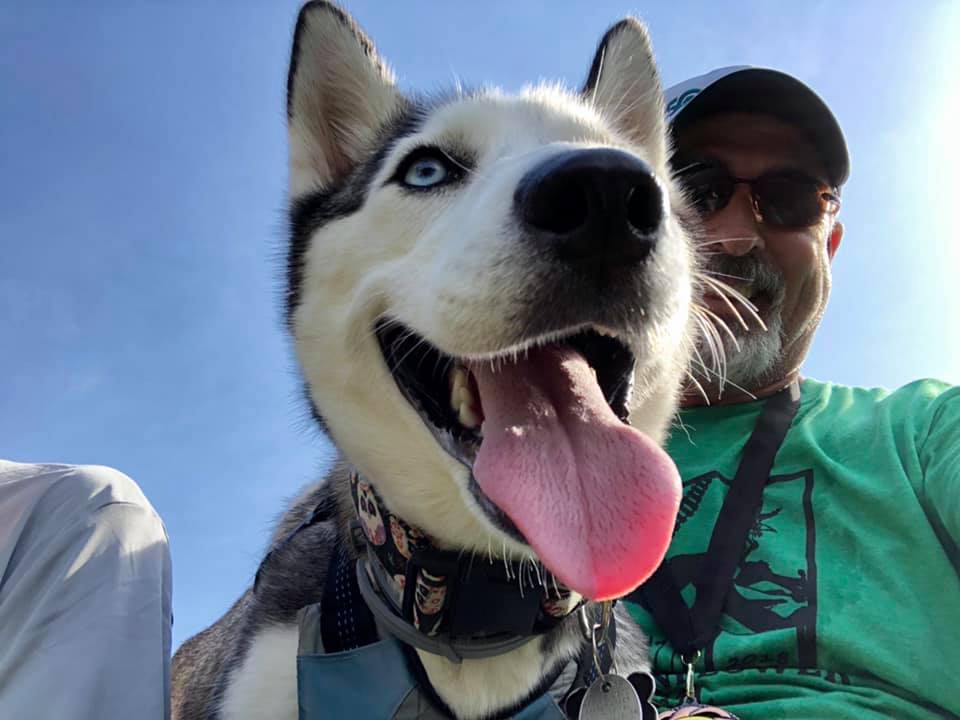 Patrick Walsh (@wal69330) on Twitter photo 