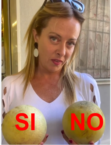 📢Questa volta scegli i Meloni giusti 

#5SI 
#Referendum
#referendum2025 
#Referendumabrogativi2025