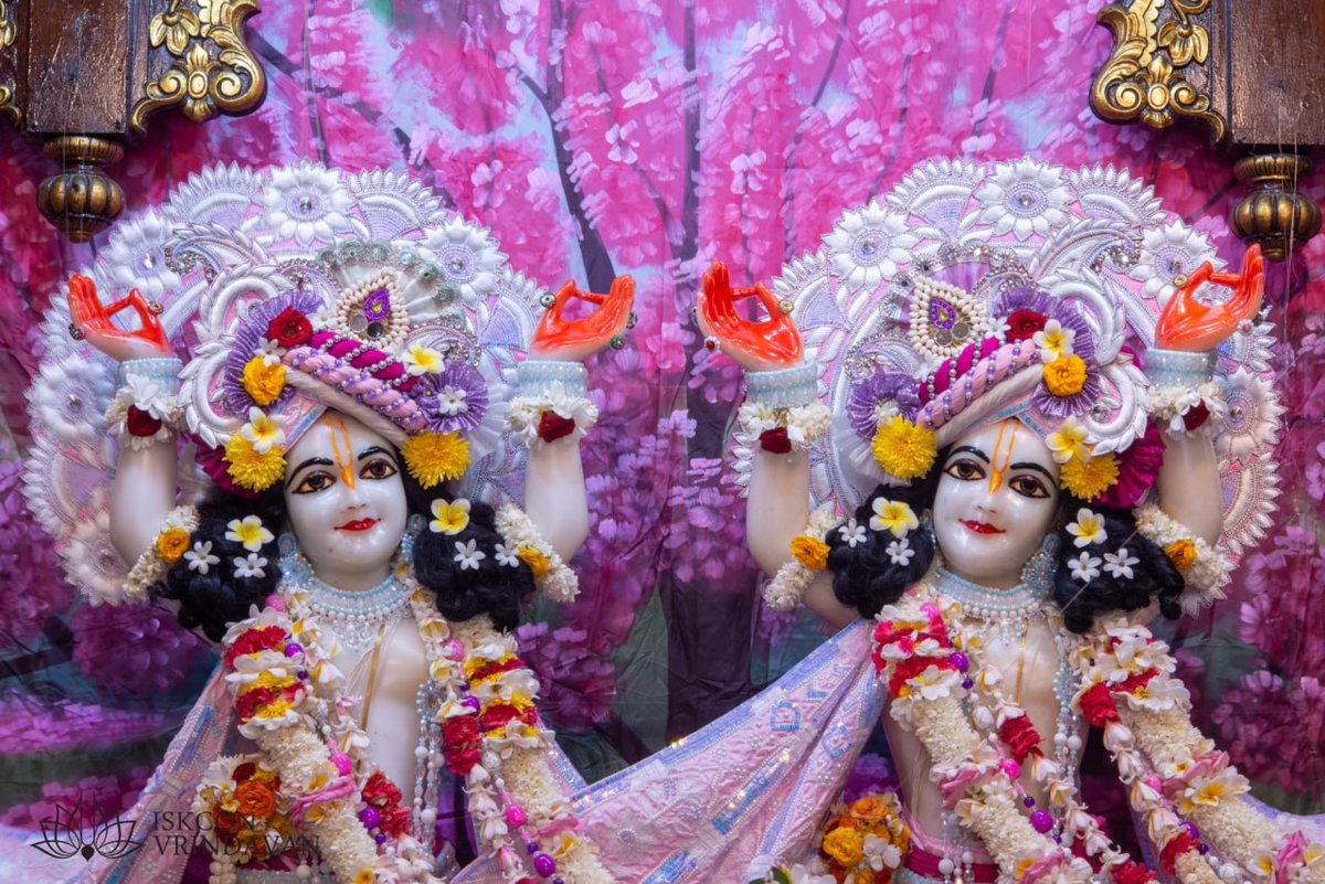 hkhrkrishna's tweet photo. निज-बल चेष्टा-प्रति भरसा छाड़िया।

तोमार इच्छाय आछि निर्भर करिया॥

मैंने निजी शक्ति एवं प्रयासों पर भरोसे के विचार का परित्याग कर दिया है। अब मैं एकमात्र आपकी इच्छा पर ही निर्भर हूँ। https://t.co/KkGfsCihdx