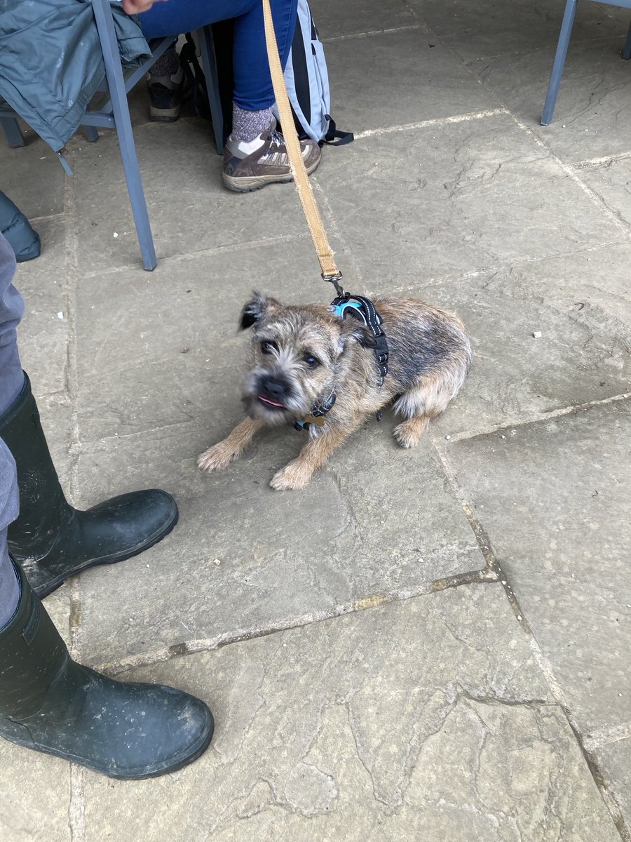 Well ⁦<a href="/MrSebBT/">Sir Boots BT - bro to Sir Seb🌈💕</a>⁩ mum n dad did wonderful #BTPosse tweet up at Stowe today! Not sure I caught everyone it gave the right addresses sorry.