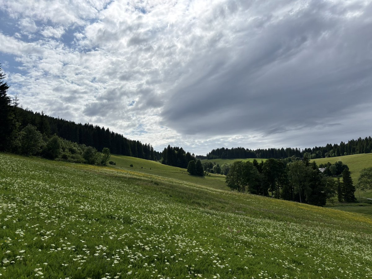 Schwarzwald, Jostal.