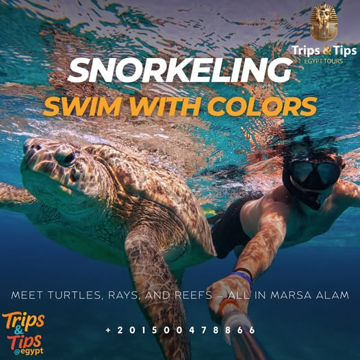 TRIPS_TIPS11's tweet photo. π’ Dive into color in Marsa Alam!
Snorkel with turtles, rays & vibrant reefs in crystal-clear Red Sea waters.
β
Gear, guide & hotel pickup included!
π 01500478866 | π https://t.co/DtRhqIemDl
#MarsaAlam #SnorkelEgypt #RedSeaAdventure #SwimWithTurtles https://t.co/nl7bM5X49G