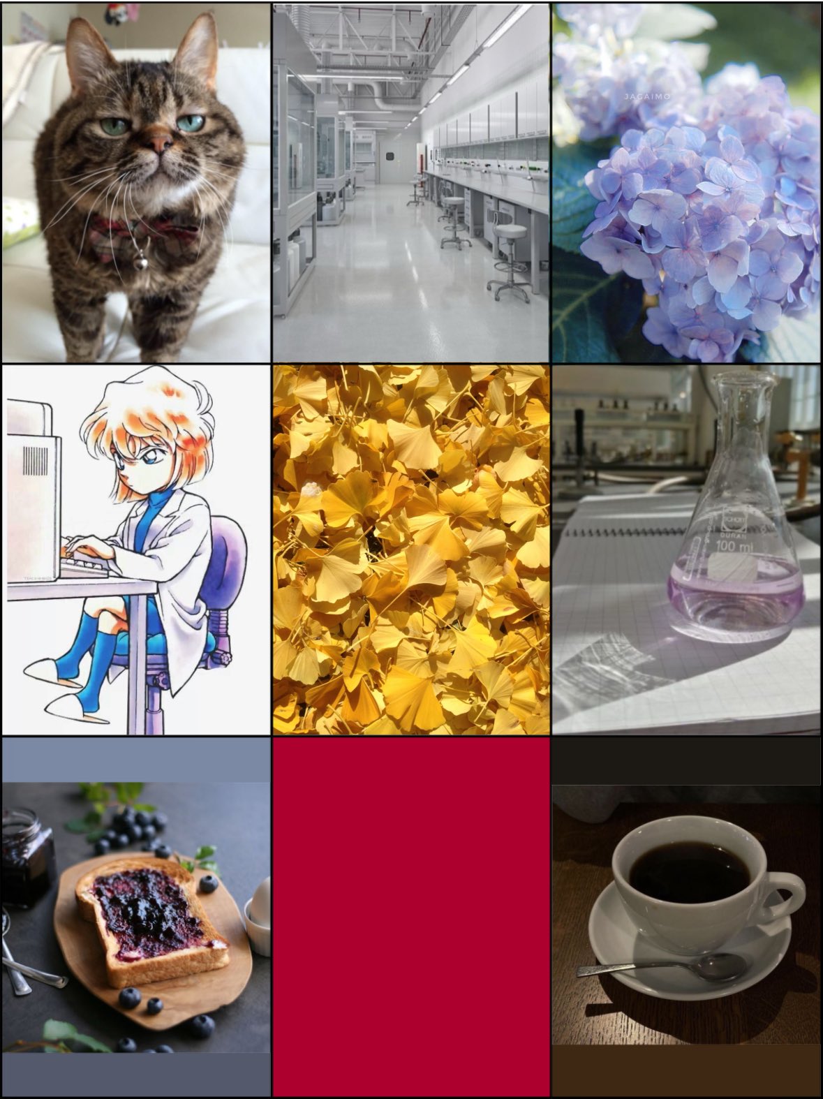 三毛猫 (@d4pyvXsAcDZKN2E) / X